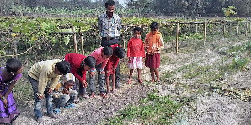 Activity based learning — field photograph