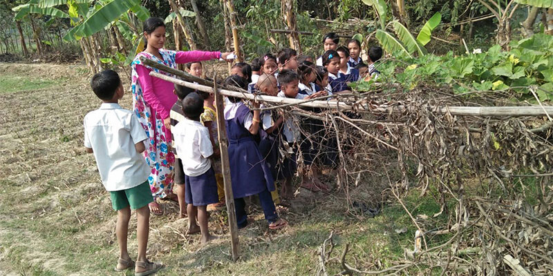 Activity based learning — field photograph
