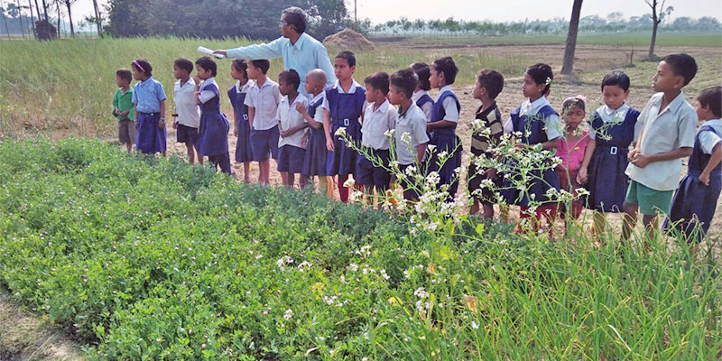 Activity based learning — field photograph
