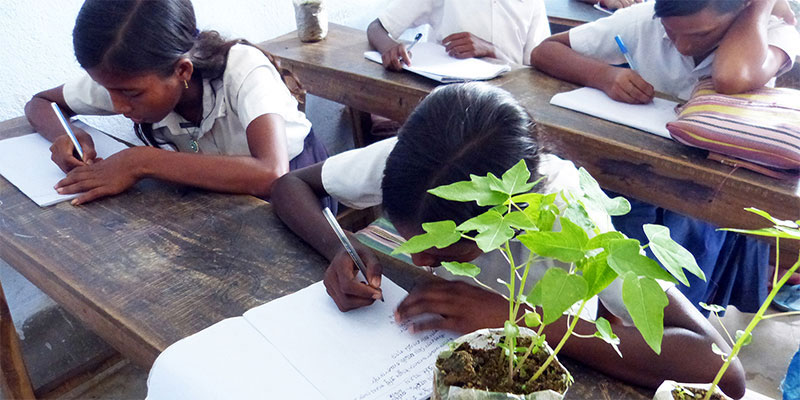 Activity based learning — field photograph
