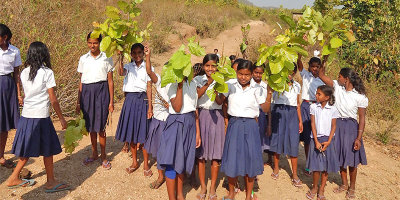 Education initiative — field photograph