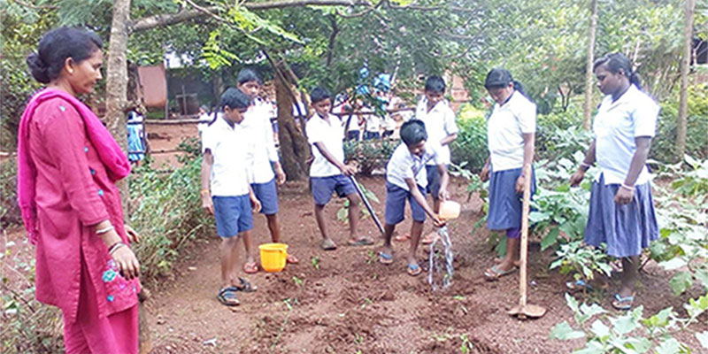 Education initiative — field photograph