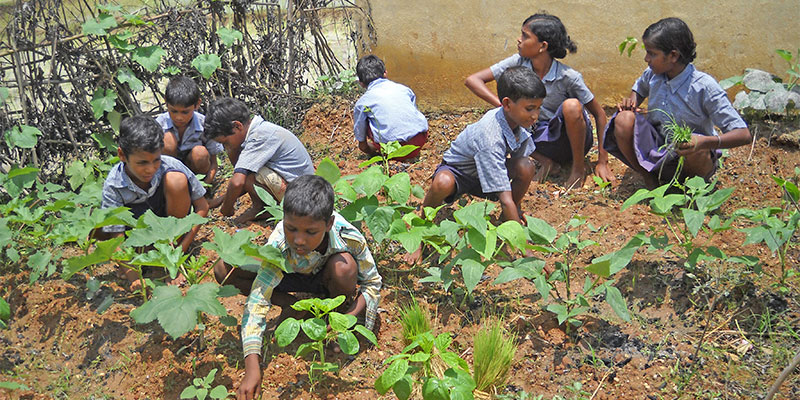 Education initiative — field photograph