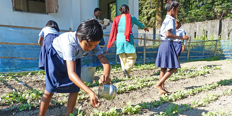 Education initiative — field photograph