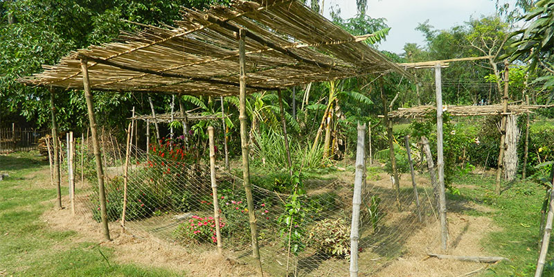 Education initiative — field photograph