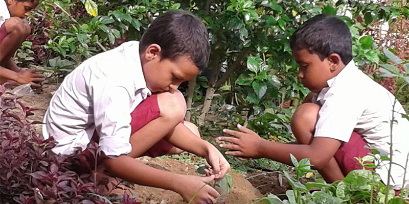 Education initiative — field photograph