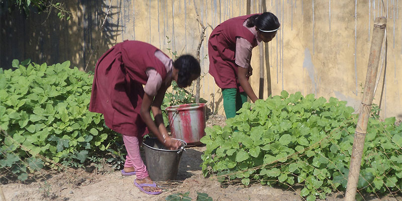Education initiative — field photograph