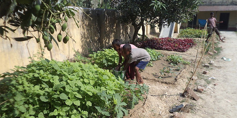 Education initiative — field photograph