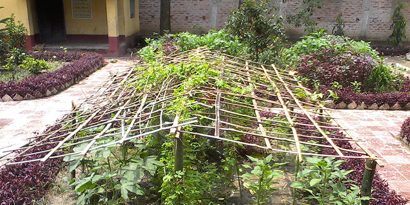 Education initiative — field photograph