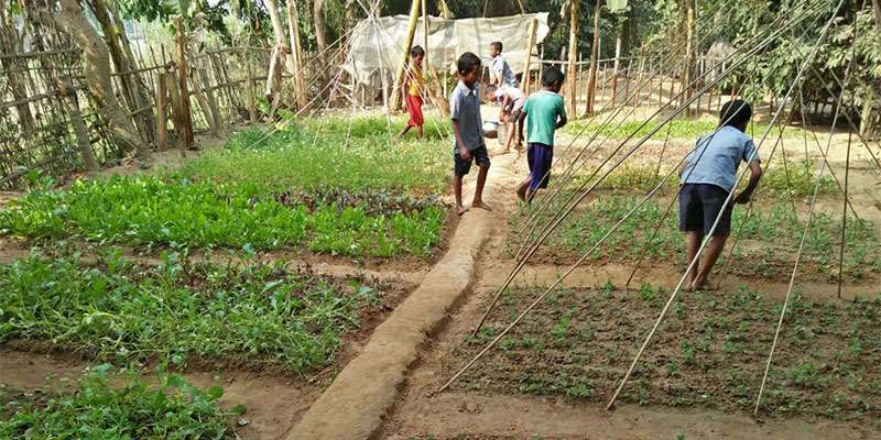 Education initiative — field photograph