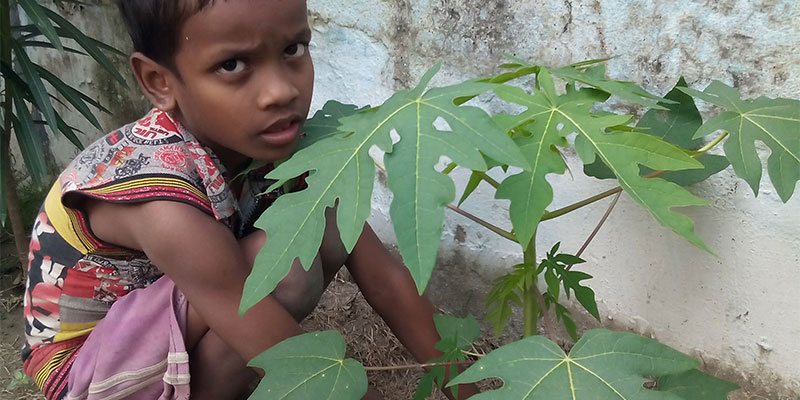 Education initiative — field photograph