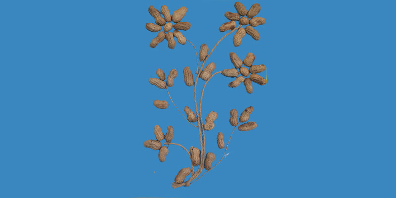 Education initiative — field photograph