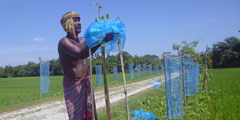 Food & nutrition — field photograph