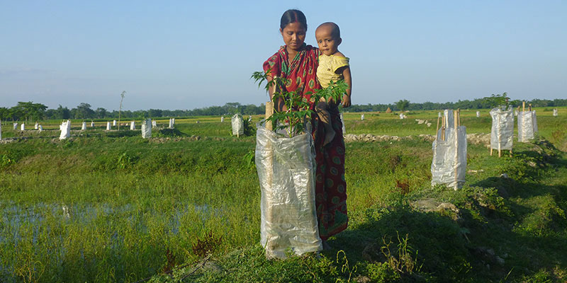 Food & nutrition — field photograph