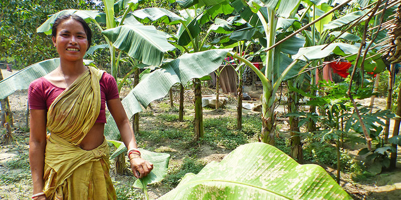 Food & nutrition — field photograph