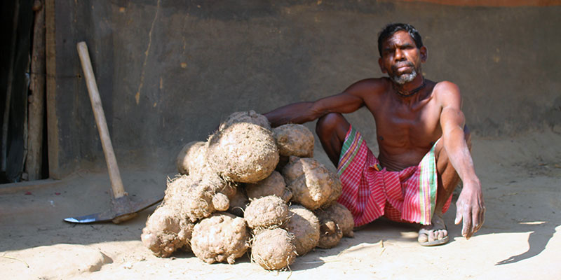 Food & nutrition — field photograph