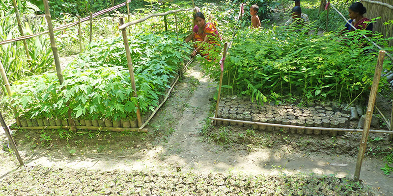 Natural resource management — field photograph