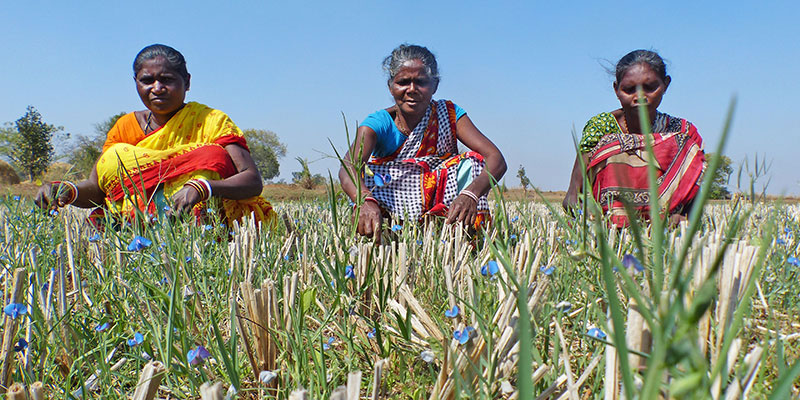 Food & nutrition — field photograph